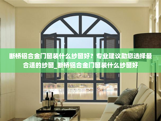 断桥铝合金门窗装什么纱窗好？专业建议助您选择最合适的纱窗_断桥铝合金门窗装什么纱窗好