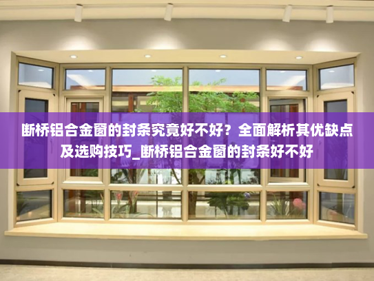 断桥铝合金窗的封条究竟好不好？全面解析其优缺点及选购技巧_断桥铝合金窗的封条好不好